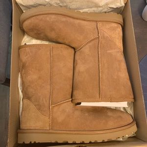 Classic short UGG boots with box
